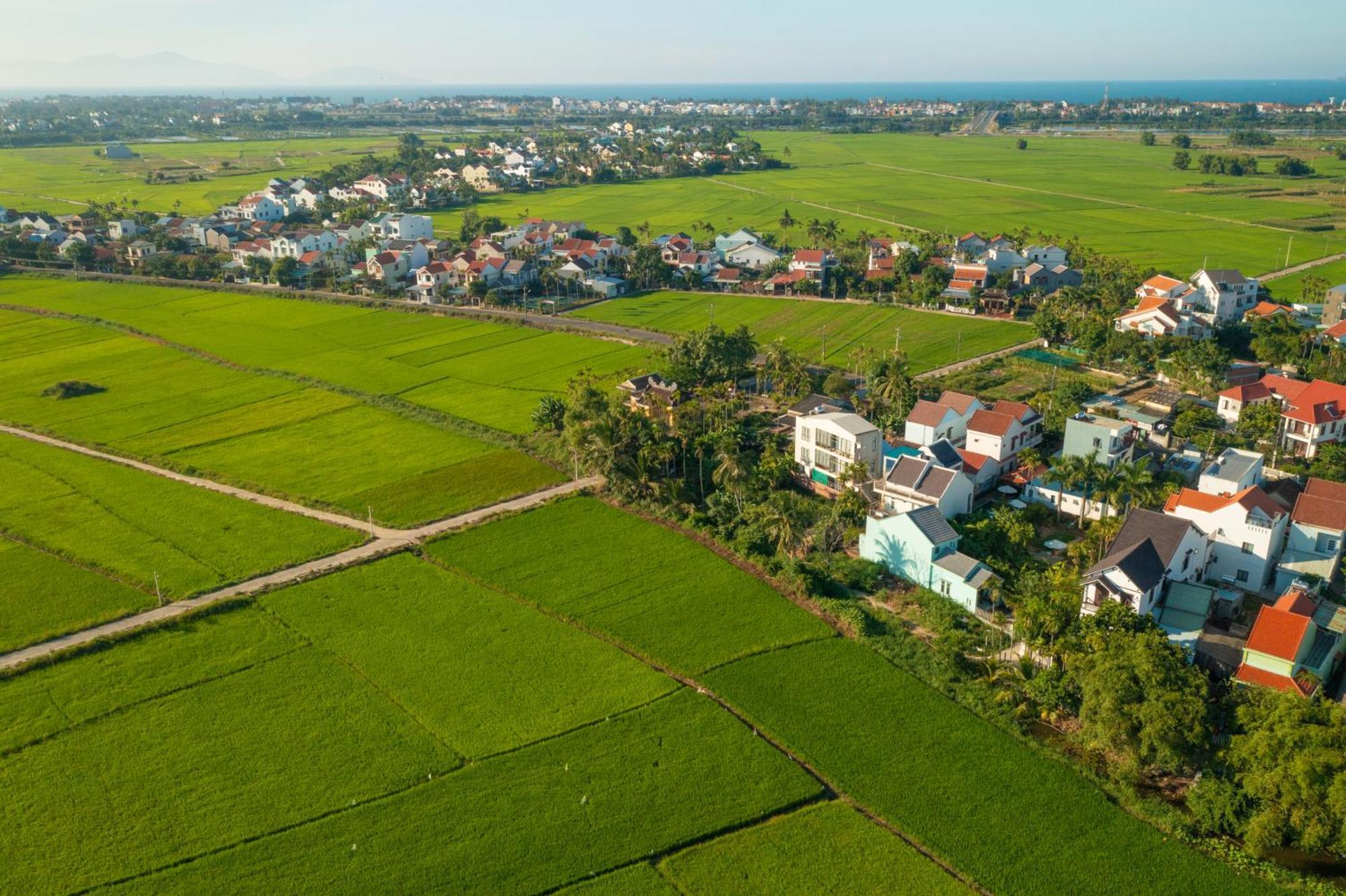La Uy Villa Hoi An Exteriör bild